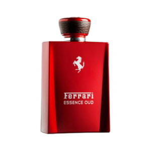 Essence-Oud-EDP-100-ml-_-1600-1