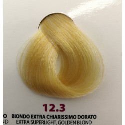 Image of Tintura Wind Colour 12.3 Biondo Extra Chiarissimo Dorato 100 ml