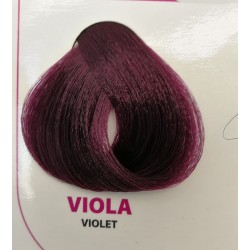 tintura-wind-colour-viola-100-ml