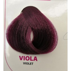 Image of        Tintura Wind Colour Viola 100 ml