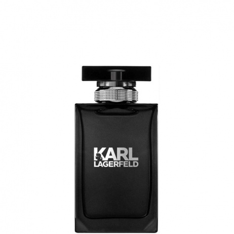 Image of        Outlet Karl Lagerfeld Eau de Toilette - 100 ml