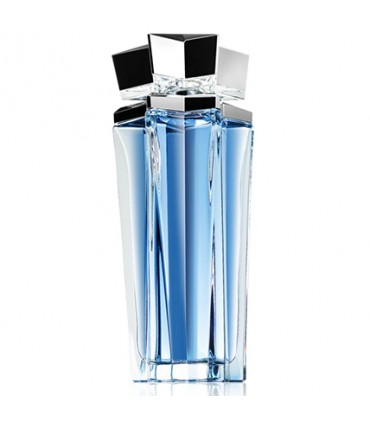 Thierry Mugler Angel - Eau de Parfum 100 ml