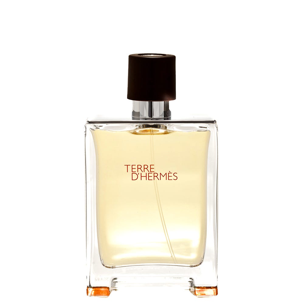 Image of Hermes Terre d'Hermes - Eau de Toilette 100 ml