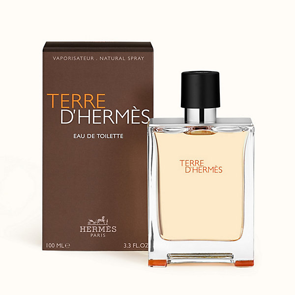 Hermes Terre d'Herms - Eau de Toilette - 100 ml