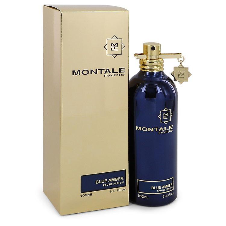 Montale Blue Amber - Eau de Parfum 100 ml