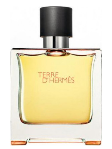 Image of Outlet Terre D'Hermès Parfum Pure Perfume - 75 ml