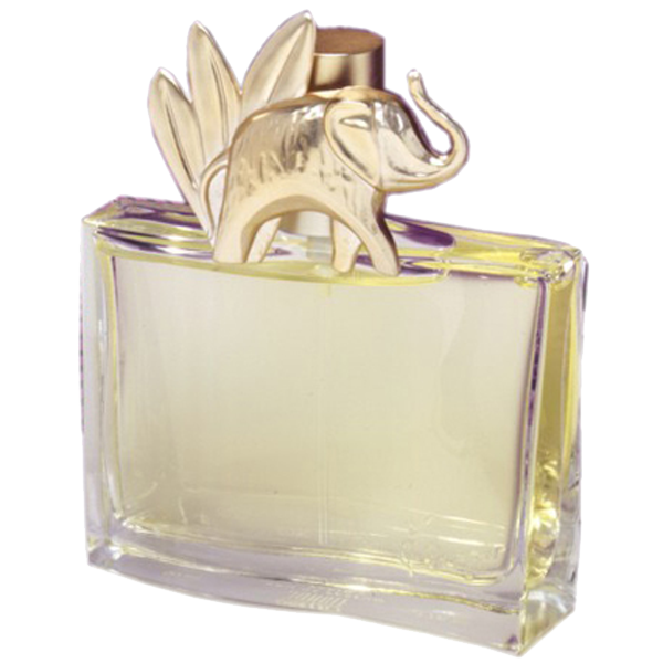 Image of Outlet Kenzo Jungle - Eau de Parfum 100 ml