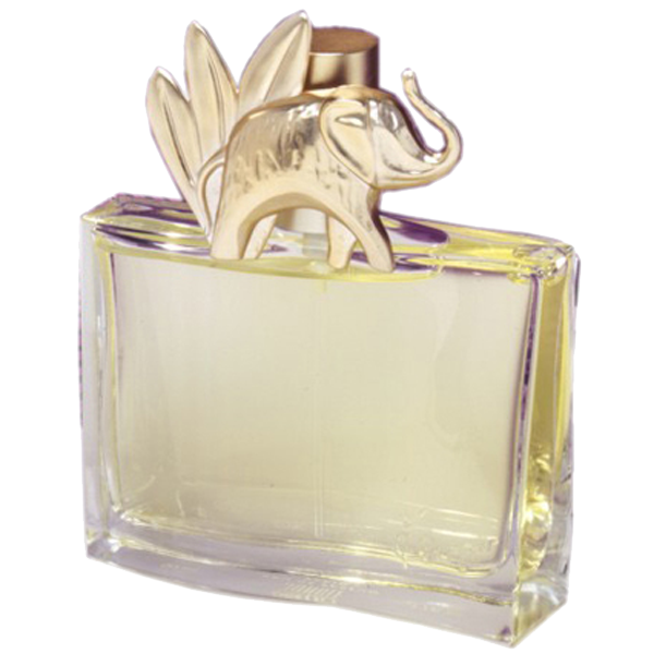 Image of        Outlet Kenzo Jungle - Eau de Parfum 100 ml