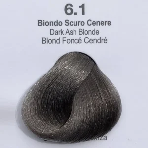 6.1
